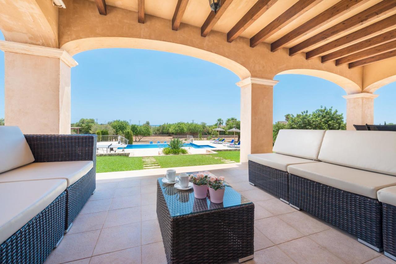 New! Calonge * Calonge (Mallorca)